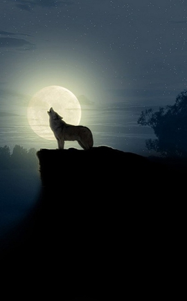  А вам нравяться волки воющии на луну?