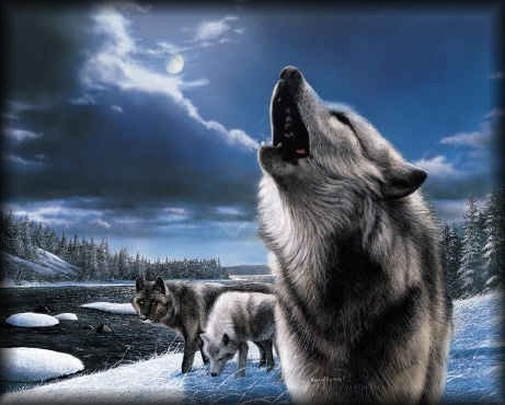  А вам нравяться волки воющии на луну?