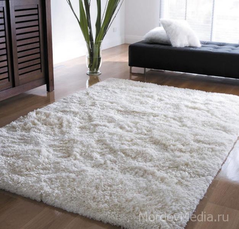 Если бы Вы были ковром, то каким?