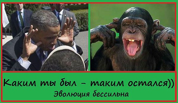 http://s1v1.irc.lv/files/1/0/0/469/g4J4BEp9.jpeg