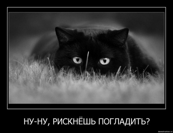 Какое самое милое животное в мире ?