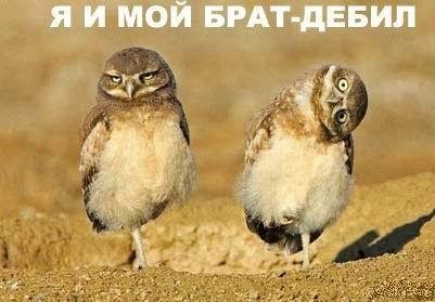 покажите свою самую любимую пазитивную картинку))))