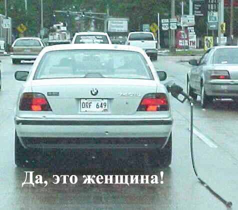 покажите свою самую любимую пазитивную картинку))))