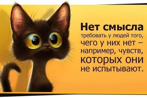 Давайте поговорим о любви?