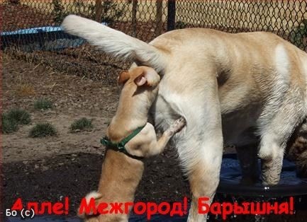С чем у вас ассоциируется лето?
