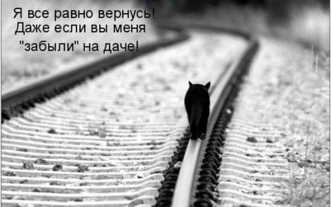 Покажите картинку которая помогает задуматься о жизни 