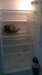 холодильник настоящего холостяка :D