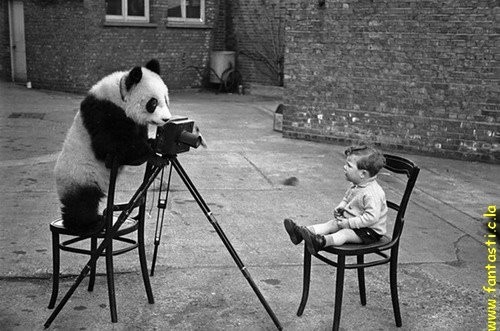 Cамая красивая черно белая фотография...