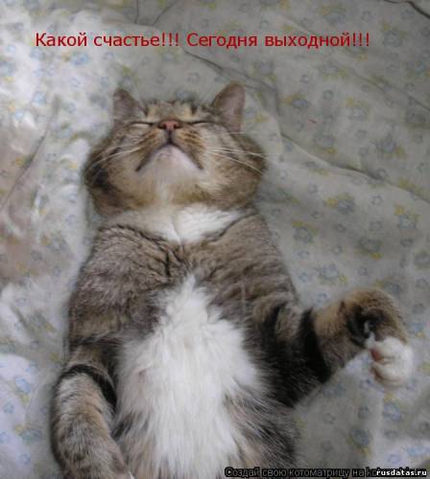 Покажите чему радуются взрослые?