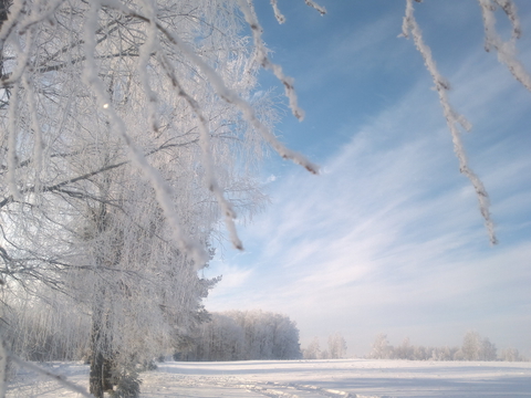 Декабрь 2012 года. В Латвии когда-то был снег.