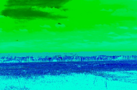 Vari atrast tādu attēlu - ''Zila zāle, zaļas debesis?'' :D