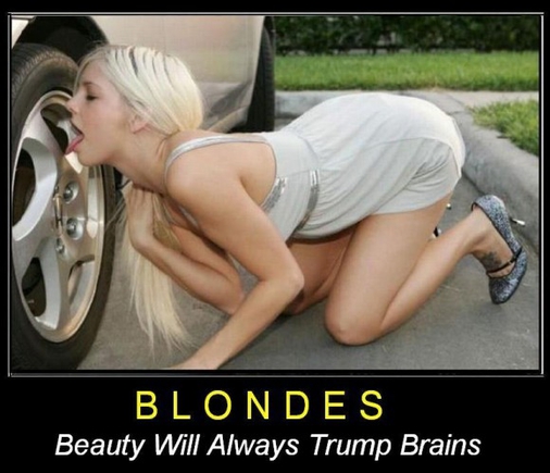 Блондинки - какие они?