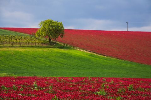 moravia