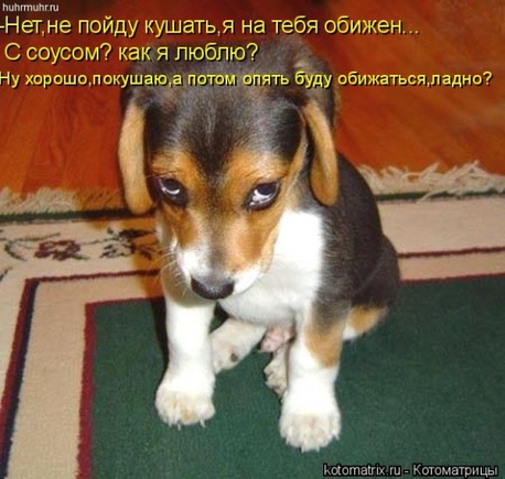 Как вы выглядите, когда обидежены?