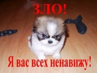 Как вы выглядите, когда обидежены?