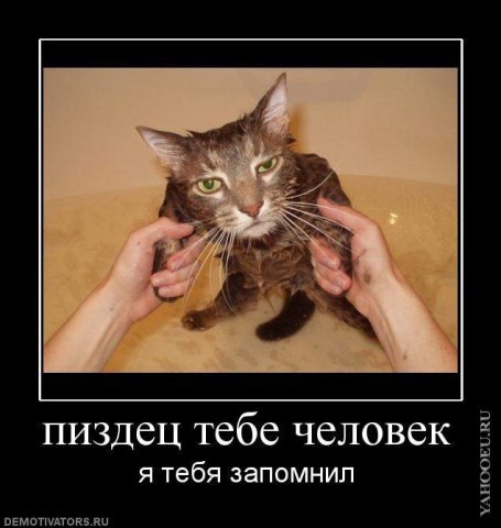 А вы видели как выглядит мокрая киска?