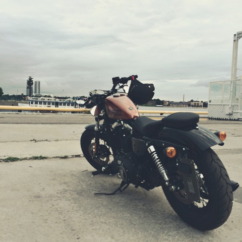 Игруля  (Harley Davidson Sportster 48)