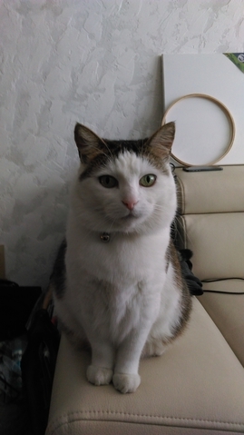 10 лет