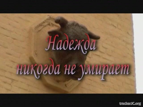 Что никогда не умрёт?