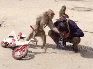 http://s1v1.irc.lv/files/1/0/0/548/V0O37faC.gif