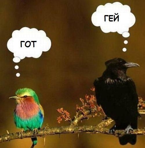 Люди поднимете настроение ?