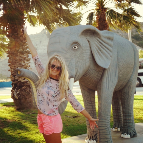 мир слонам!))