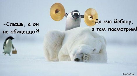 На кого Вы похожи -спящими?:))