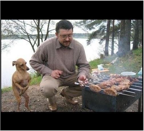 покажите что нибудь вкусненькое?