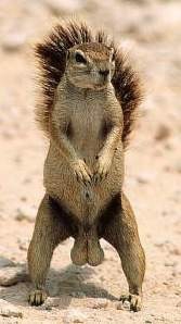 У кого самый большой?