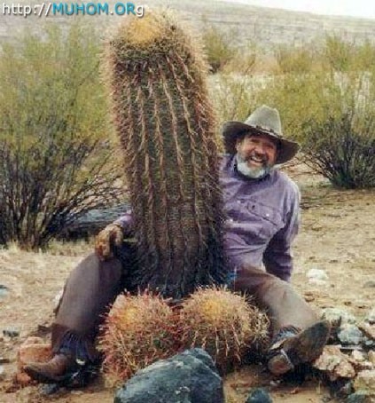 У кого самый большой?