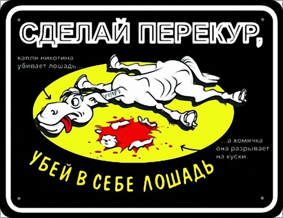 Покажите смешную надпись