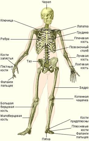 У вас есть ваша погремушка?Чем гремите?