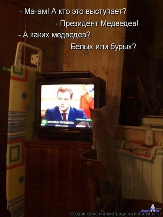 Покажите идеального президента Латвии?