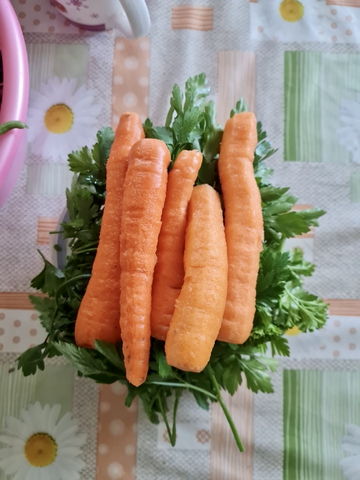 Морковочка удалась в этом году 