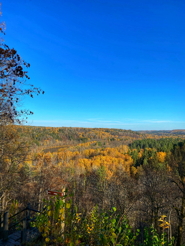 Покажете самое красивое фото осени?
