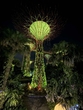 Gardens by the bay