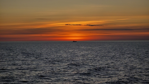 Рабочие моменты.