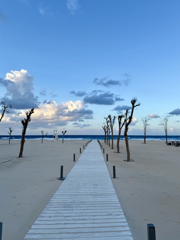 Александрия, Египет 