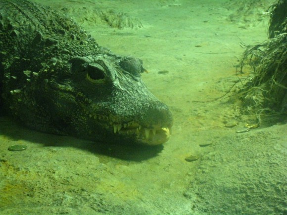 Что ссобой взять на море?