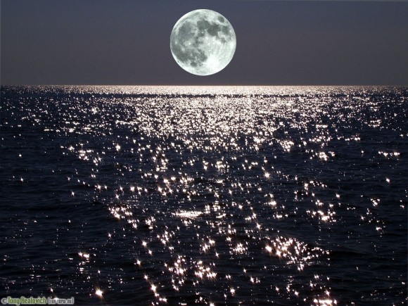 Покажите Лунный Свет? Красивый.