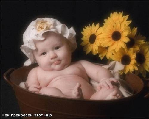 покажите красивую фотку-открытку и пожелание с рождением ребёнка?