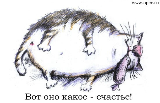 Што такое оптимизм?