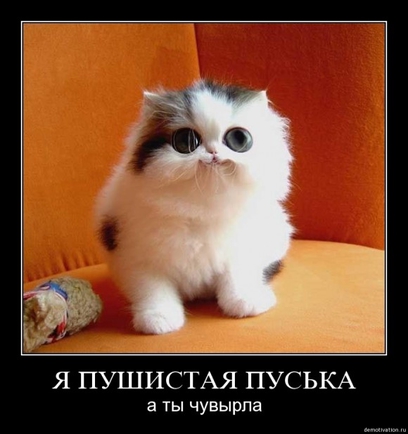 покажите кота,который явно не в себе??))