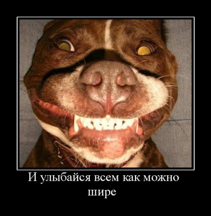 радость - ....?