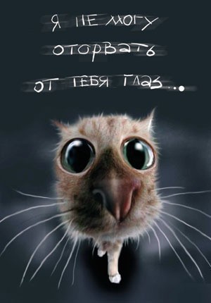 за чем "нужен глаз да глаз" ?