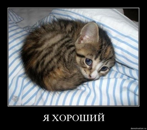 радость - ....?
