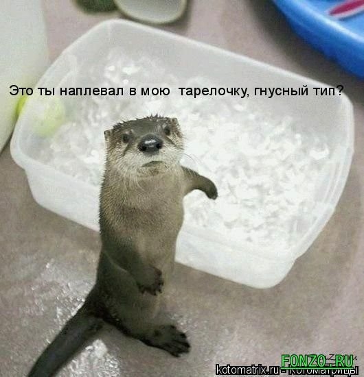 Не показывайте мне "смешно". Покажите мне "ржачно!"?
