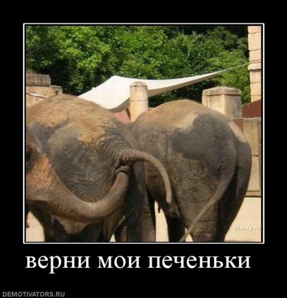 Не показывайте мне "смешно". Покажите мне "ржачно!"?