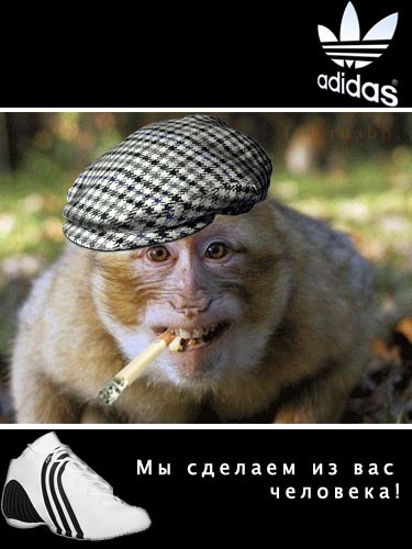 Не показывайте мне "смешно". Покажите мне "ржачно!"?