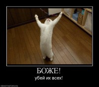 Покажите мне животных,с мордой сумасшедшего?Людей тож мона